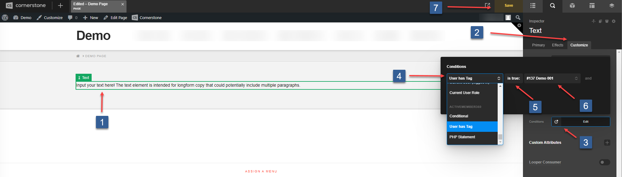 Steps for setting an ActiveCampaign Tag based condition for Cornerstone Element visibility