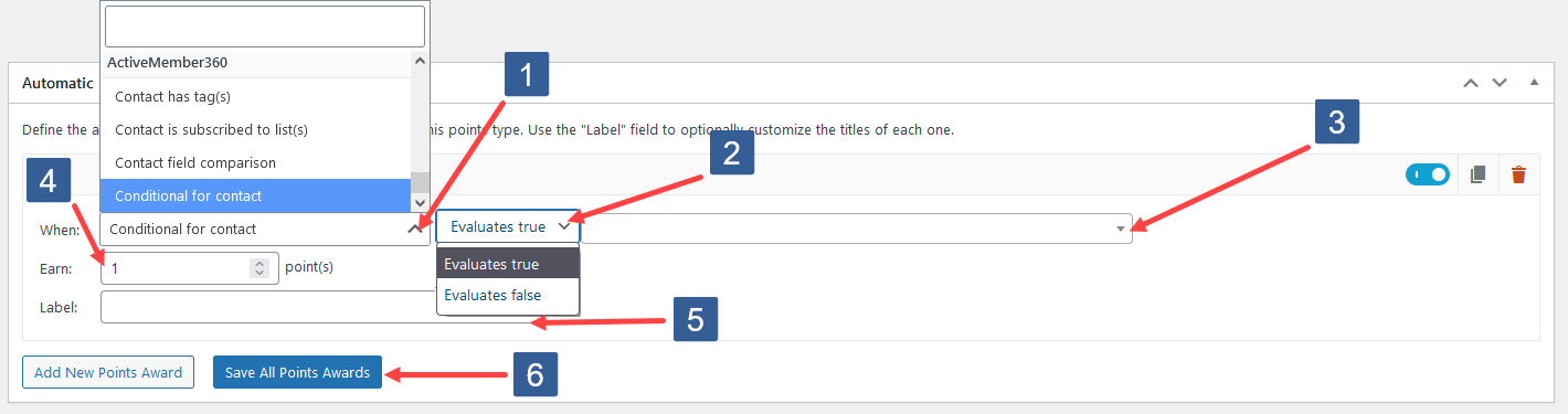 Configuring Add New Points Award For Conditional
