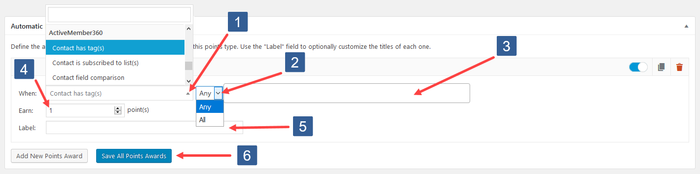 Configuring Add New Points Award For Contact Tag